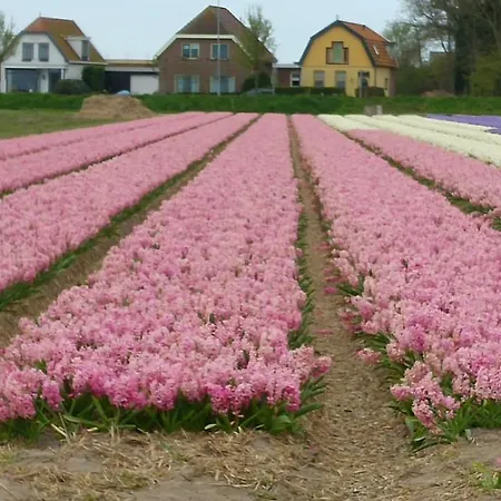 Huisje Vitalis